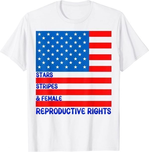 Stars Stripes & Equal Rights 4th Of July Independence 2022 Shirt