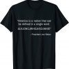 America Is A Nation That Can Be Defined In Single Word 2022 Shirt