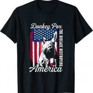 Donkey Pox The Disease Destroying America Retro US Flag 2022 Shirt