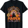 Leopard Rainbow I Teach The Cutest Pumpkins In The Patch 2022 Shirt