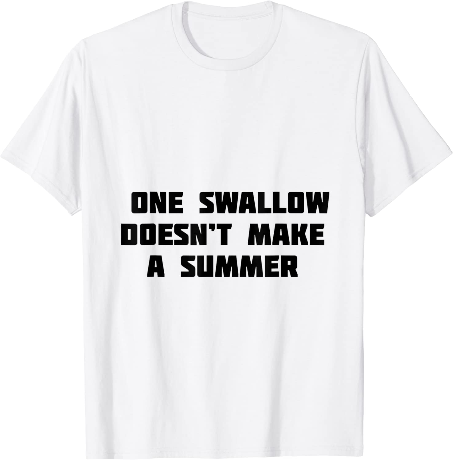 one swallow doesn't make a summer 2022 Shirt
