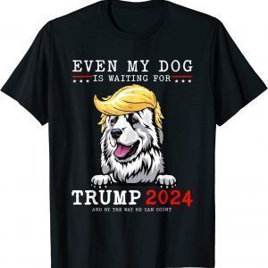 Great Pyrenees Dog Even My Dog Is Waiting For Trump 2024 Limited Shirt