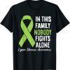 In This Family Nobody Fights Alone Lyme Disease Awareness 2023 Shirt
