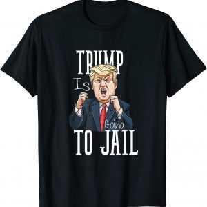 Trump Is Going To Jail Retro Trump 20-24 Years in Prison Classic Shirt