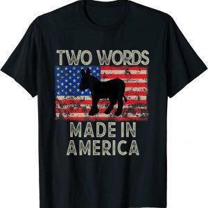 Biden Two Words Made-In-America Us Flag 2022 Shirt