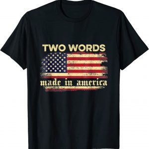 Two Words Made In America Joe Biden Retro Vintage Flag 2022 Shirt