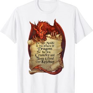 Do Not Meddle In The Affairs Of Dragons 2022 Shirt