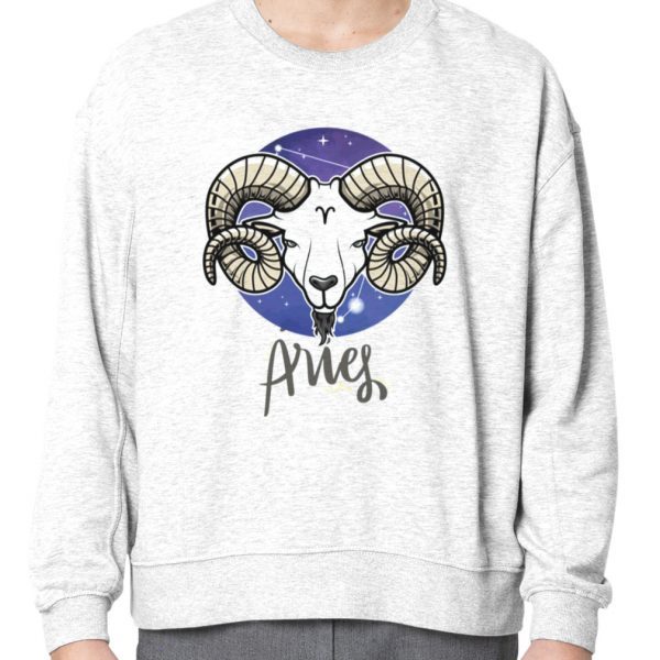 The Avatar Zodiac Sign Aries 2023 Shirt