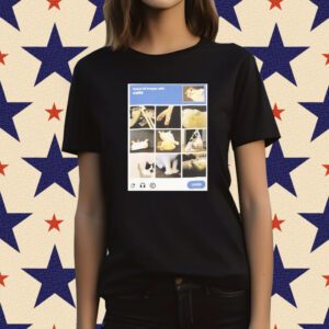 Recaptcha Cats Funny T-Shirt