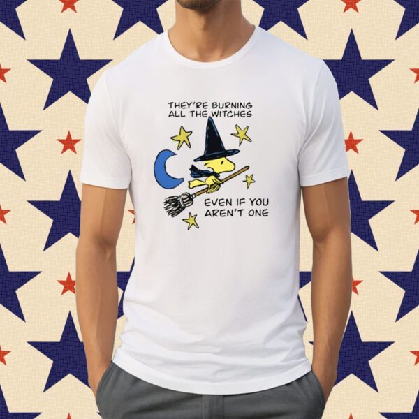 They're Burning All The Witches Even If You Aren't One Tee Shirt