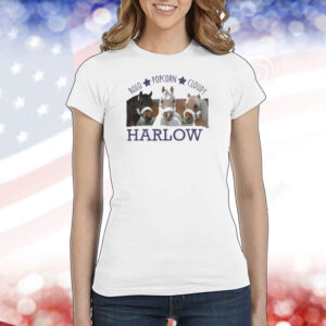 Harlow And Popcorn Merch Harlow’s Three Ponies Shirt