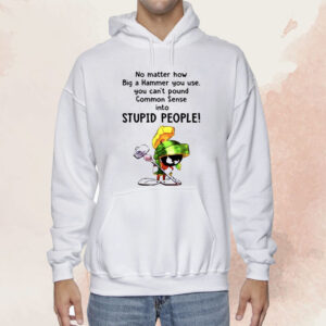 No Matter How Big A Hammer You Use You Can’t Pound Common Sense Into Stupid People Shirt