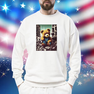 Ceasefire Now Teddy Bear TShirt