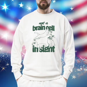 Not A Brain Cell In Sight Shirt Sweat