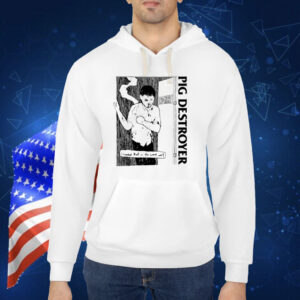 Pic Destroyer I Needed That In The Worst Way TShirt