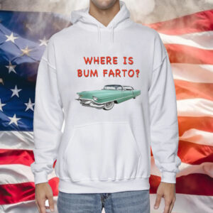 Where Is Bum Farto Hoodie