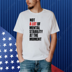 Not A Lot Of Mental Stability At The Moment Shirt