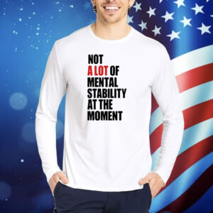 Not A Lot Of Mental Stability At The Moment TShirts