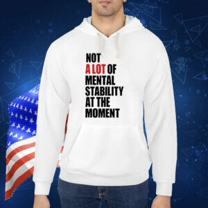 Not A Lot Of Mental Stability At The Moment TShirt