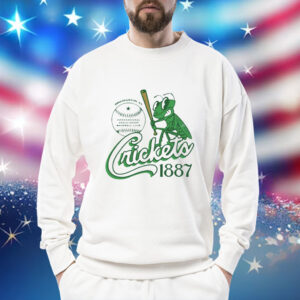 Binghamton Crickets New York Vintage Defunct Baseball Teams Shirt