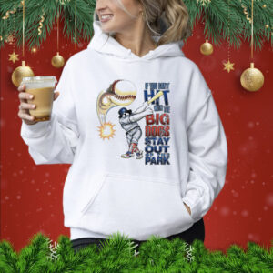 If you can’t hit with the Big Dog stay out of the park baseball Shirt