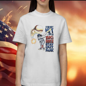 If you can’t hit with the Big Dog stay out of the park baseball Shirt