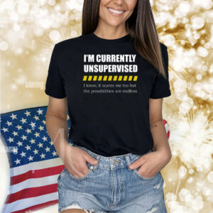 I'm Currently Unsupervised I Know It Scares Me Too But The Possibilities Are Endless TShirt