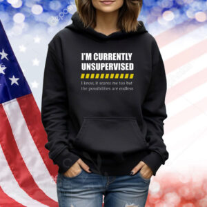 I'm Currently Unsupervised I Know It Scares Me Too But The Possibilities Are Endless Shirts