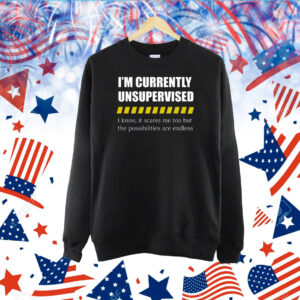 I'm Currently Unsupervised I Know It Scares Me Too But The Possibilities Are Endless TShirts