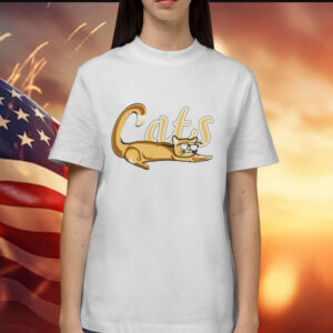 Lehigh valley ironpigs cats Shirt