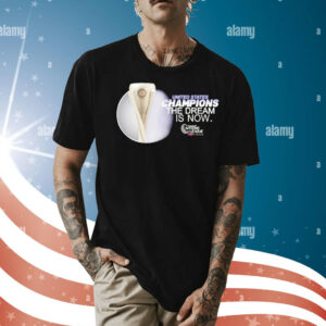 United States champions the dream is now Shirt