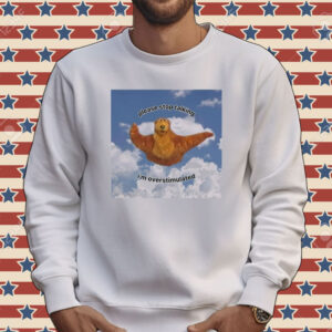Please stop talking I’m overstimulated Tee shirt