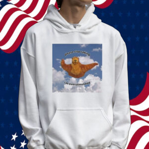 Please stop talking I’m overstimulated Tee shirt