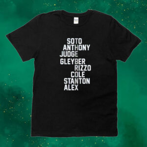 The Bronx names 2024 Tee shirt