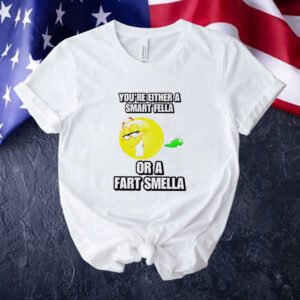 You’re either a smart fella or a fart smella cringey Tee shirt