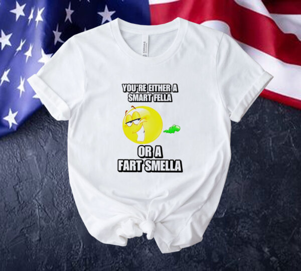 You’re either a smart fella or a fart smella cringey Tee shirt