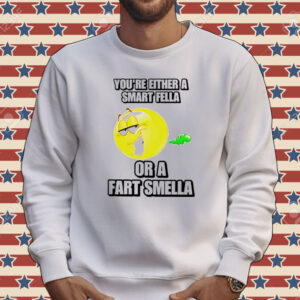 You’re either a smart fella or a fart smella cringey Tee shirt