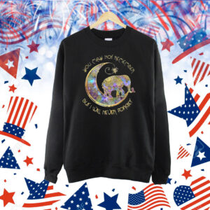 95.7 The Game: I'm A Roaster Shirt