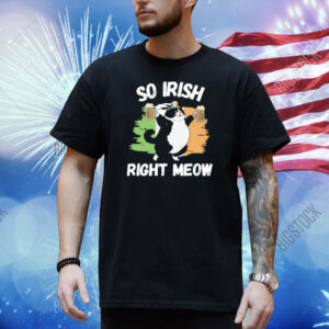 Catshirtsusa Store So Irish Right Meow Cat Shirt