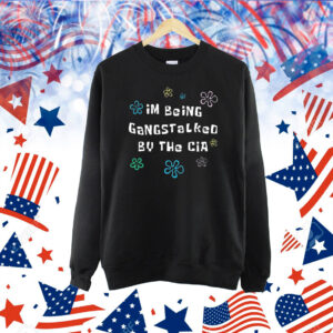 Official Im Being Gangstalked By The Cia Shirt