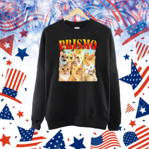 Official Oneorangebraincell Prismo Cat Shirt
