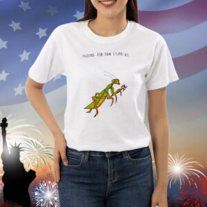 Praying for your stupid ass Shirt
