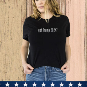 Funny Classic Got Trump 2024 Vintage Retro Fun Humor Novelty T-Shirt