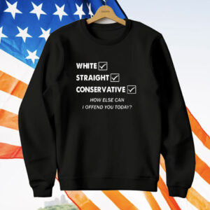White Straight Conservative How Else Can I Offend You Today T-Shirt