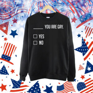 You Are Gay Yes No Shirt