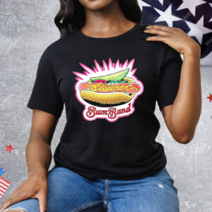 Chicago Bleacher Bum Band Tee Shirt