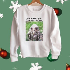 She Wasn’t Lyin That Ass Can Fart Shirt